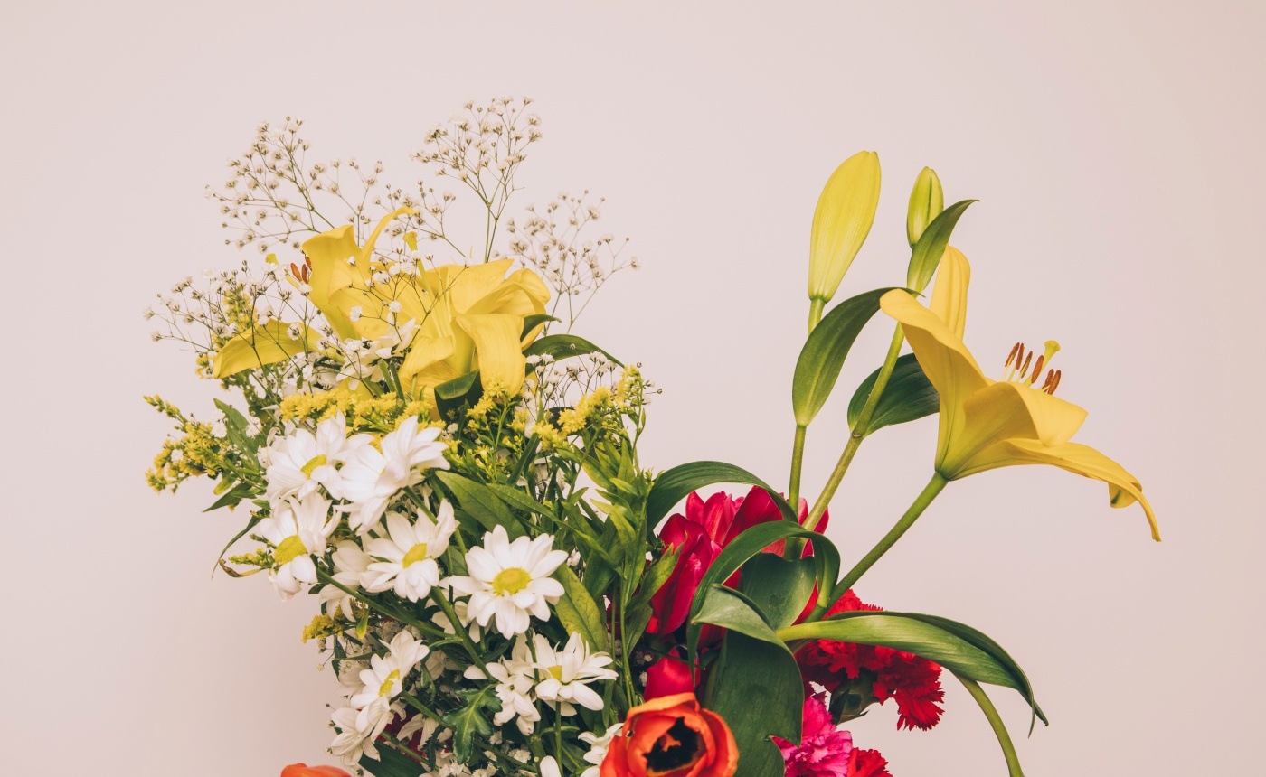 Post format video blogs